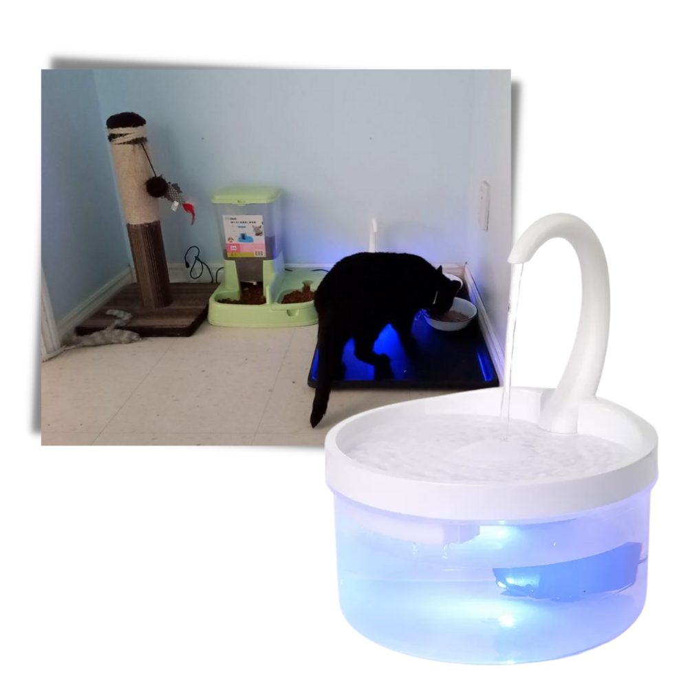 Automatisk vannfontene for katt med LED-lys - Ozerty