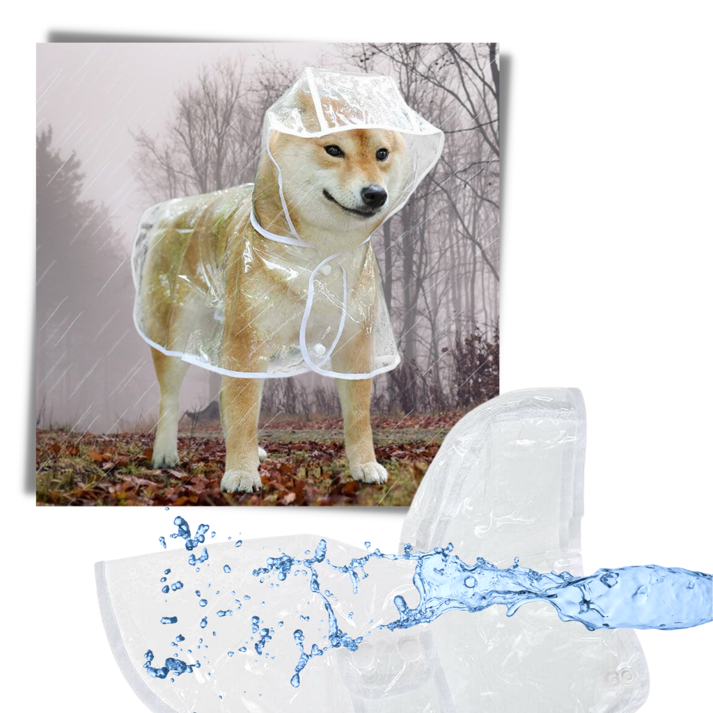 Regnfrakk med hette for hunder - Ozerty