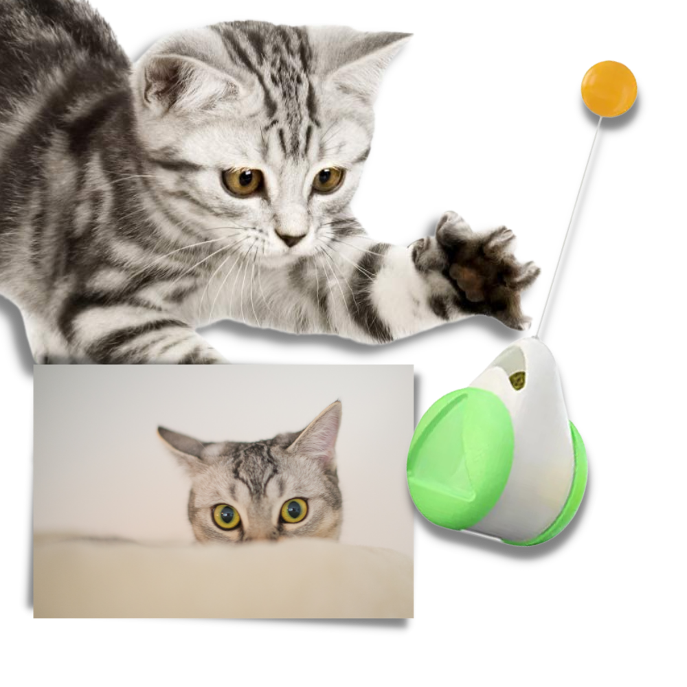 Interaktivt ballleketøy for katter - Ozerty