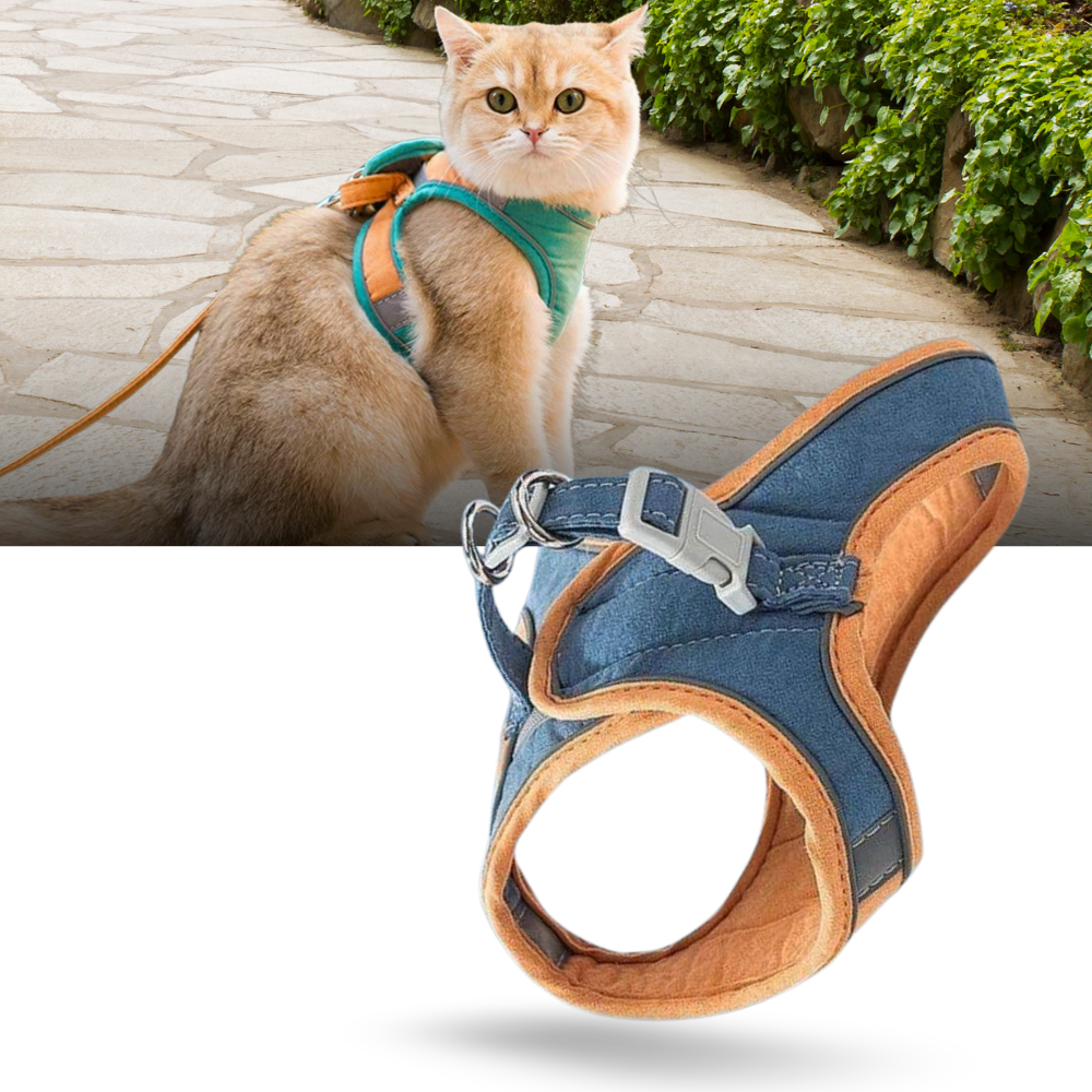 Sett med sele og bånd for kjæledyr - Ozerty