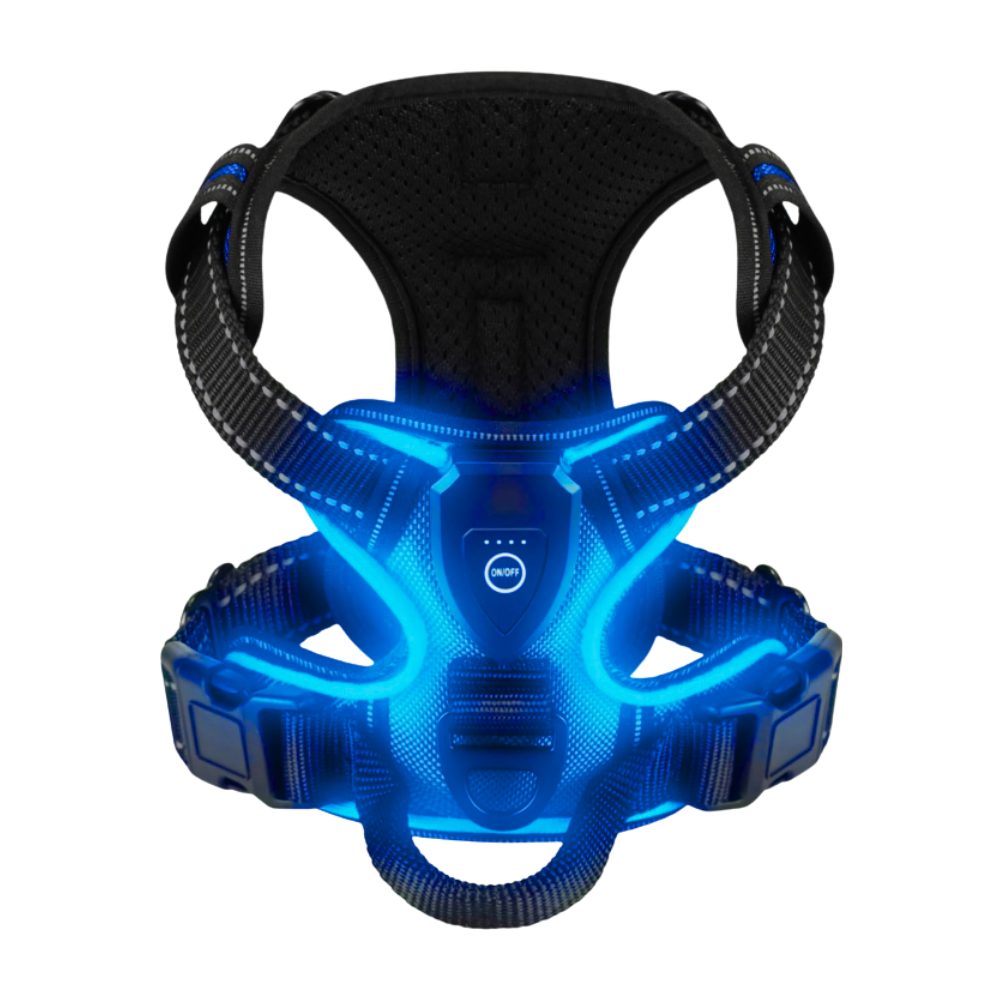 Blinkende LED-Hundesele