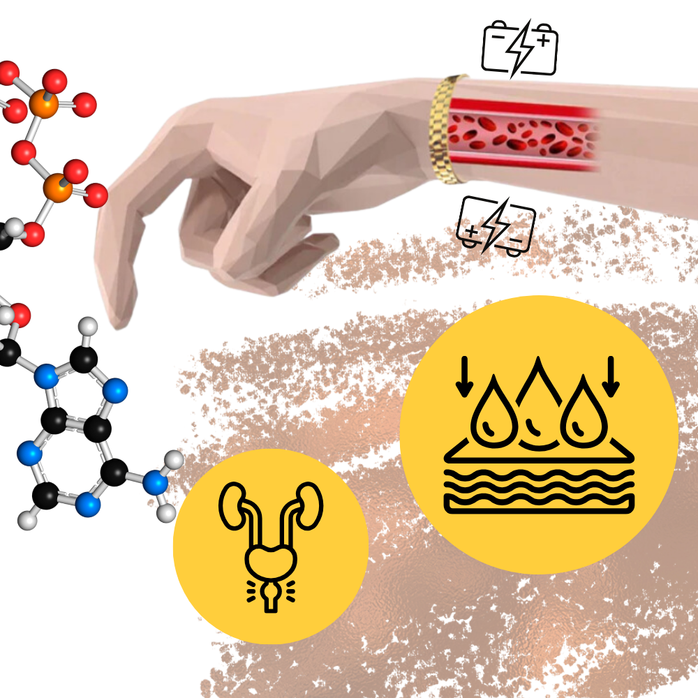 Magnetisk Terapiarmbånd i Kobber
- Ozerty