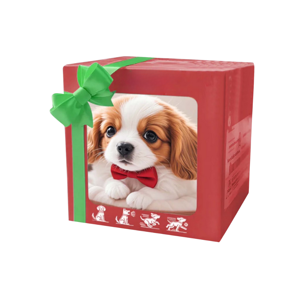 Søt Robotvalp og -Katt -Hund Cavalier - Ozerty