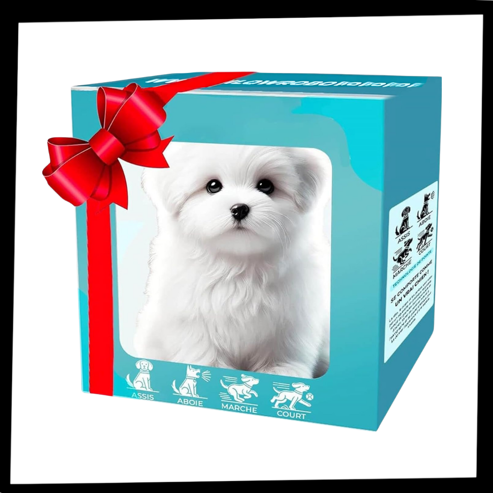 Søt Robotvalp og -Katt - Ozerty