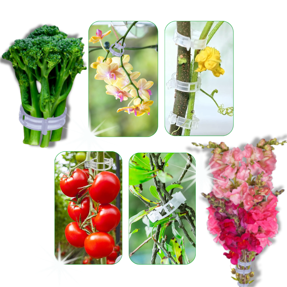 Enkel plantestøtte som klipses på
- Ozerty