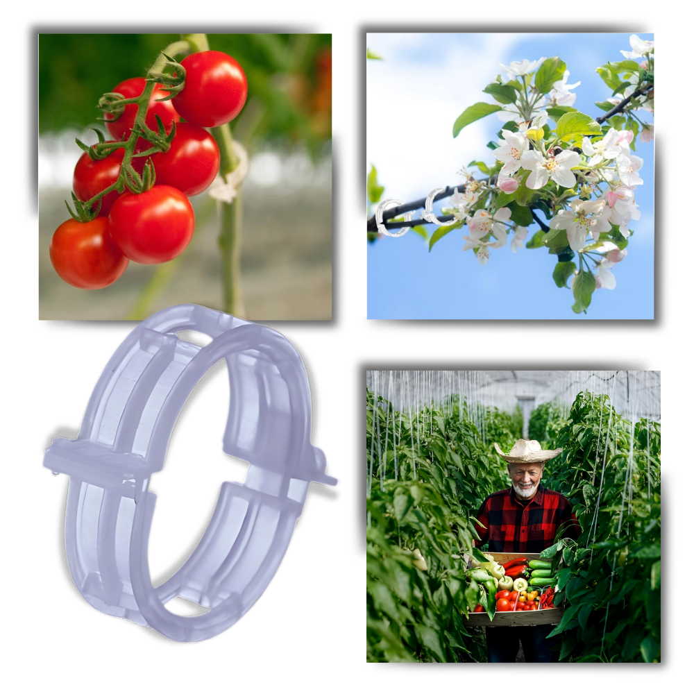 Enkel plantestøtte som klipses på
 - Ozerty