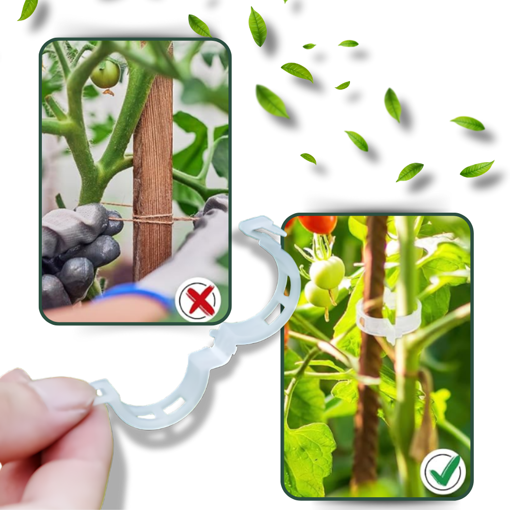 Enkel plantestøtte som klipses på
- Ozerty