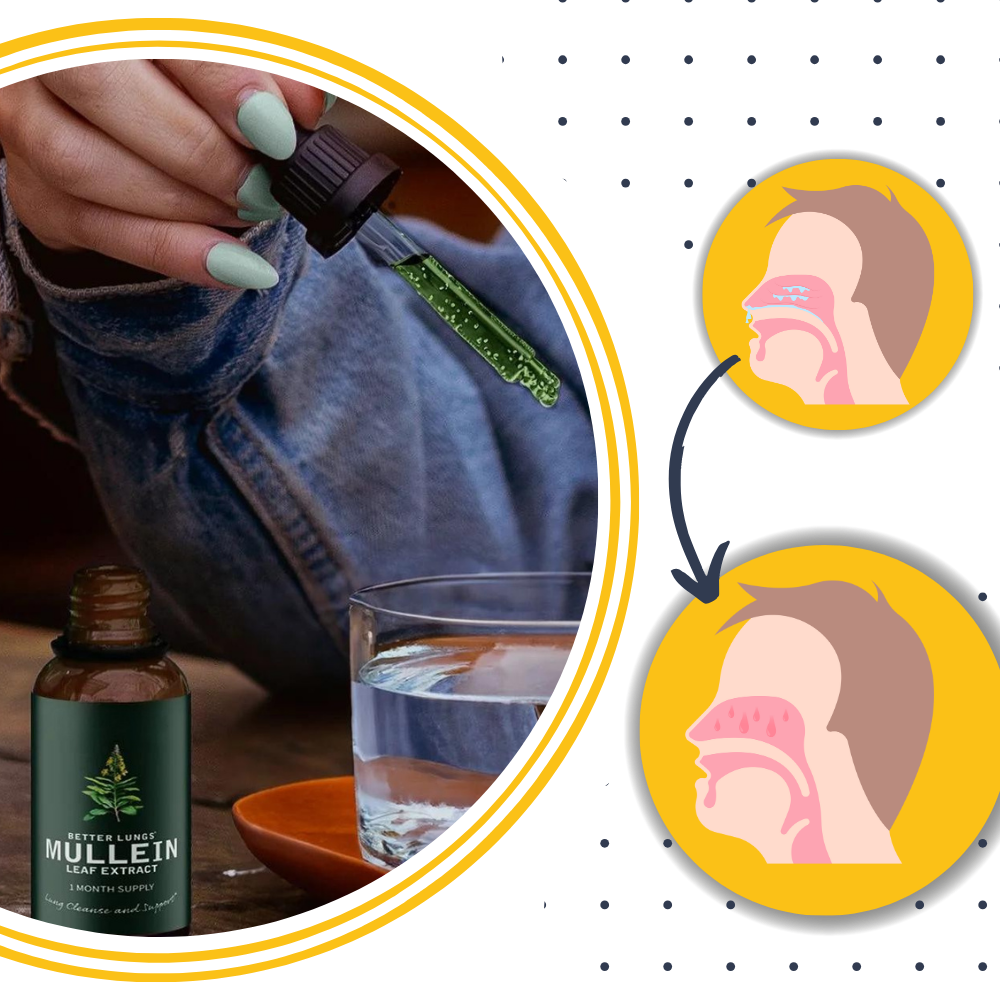 Gluten-free mullein for lung health