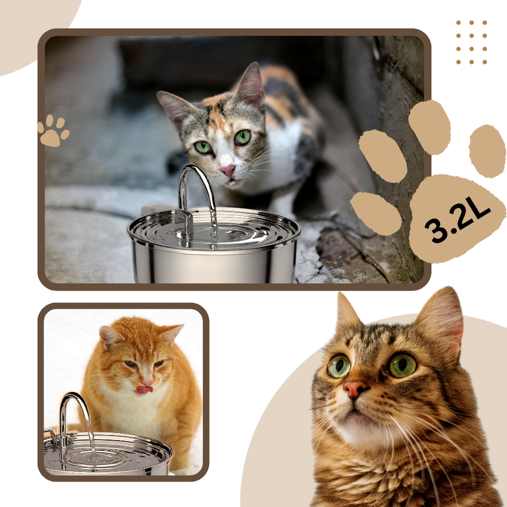 Drikkefontene for katter med stor kapasitet - Ozerty