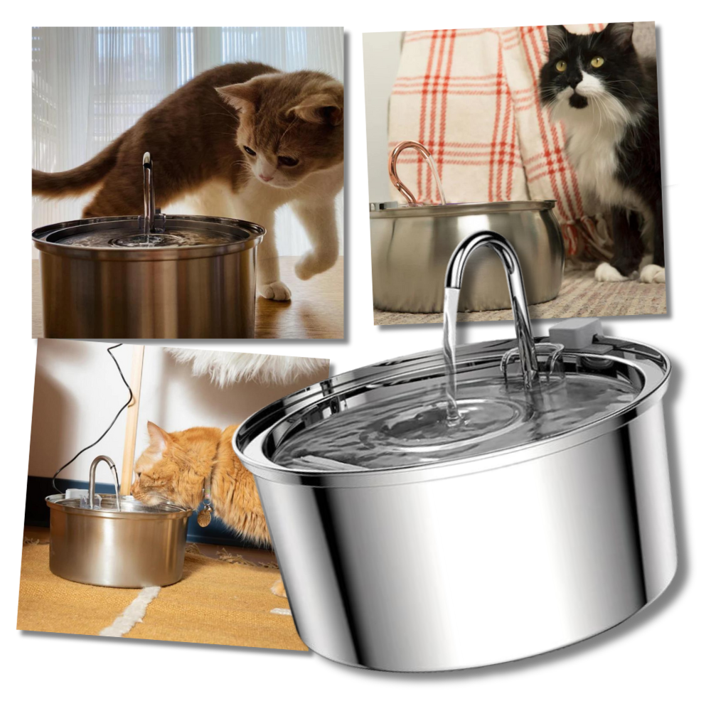 Drikkefontene for katter med stor kapasitet - Ozerty