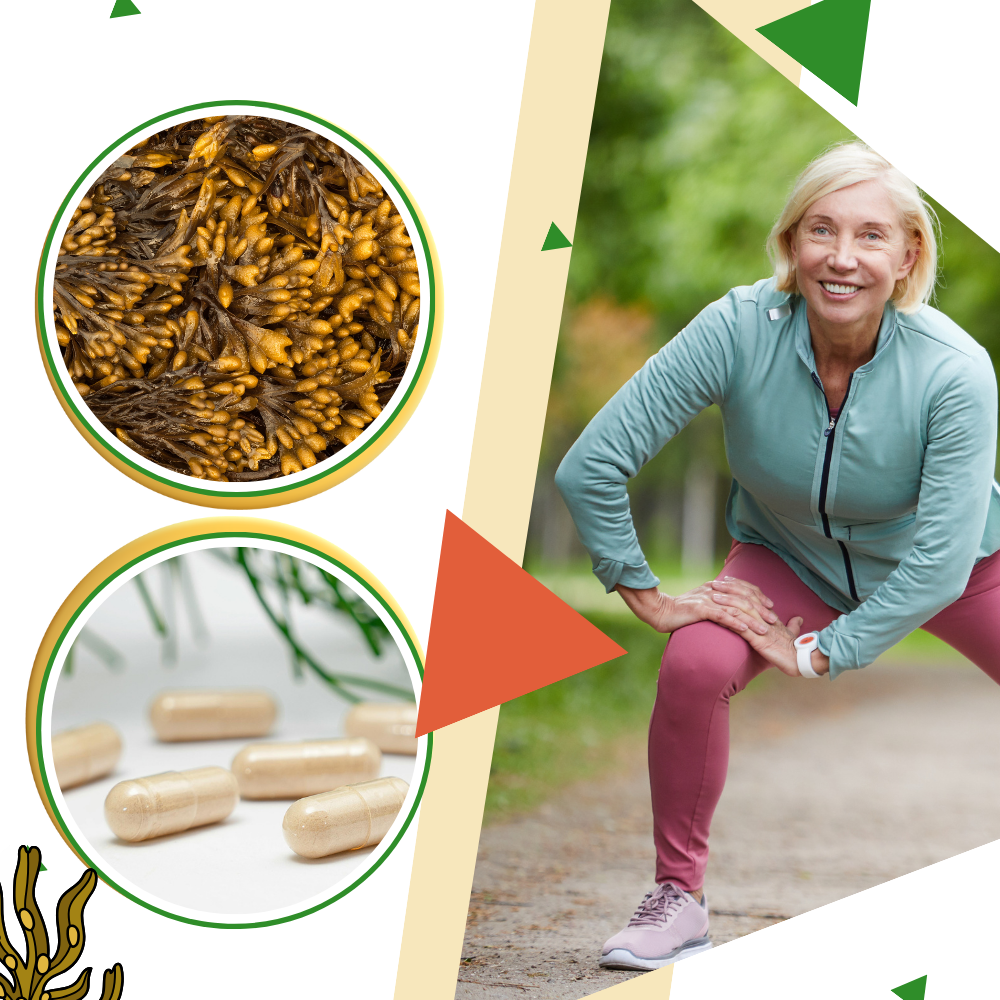 Marint Urtetilskudd - Ozerty