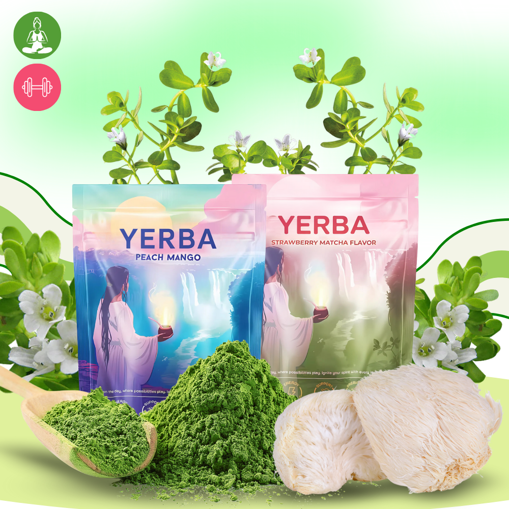 Matcha Mate Løfte-Te - Ozerty