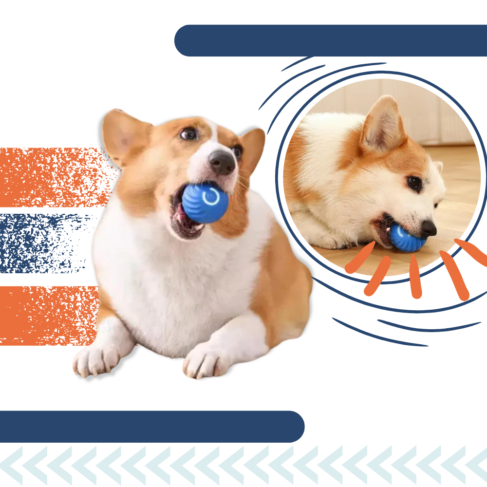 Hinderunnvikende Hundeball - Ozerty