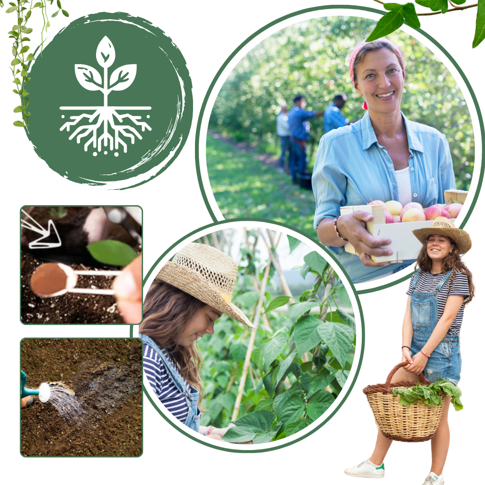 Organisk næringsaktiv jordaktivator - Ozerty