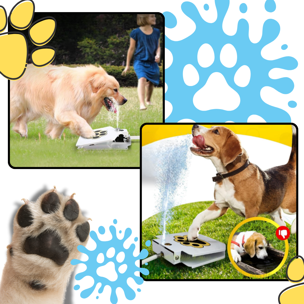 Poteaktivert vannfontene for hunder
- Ozerty