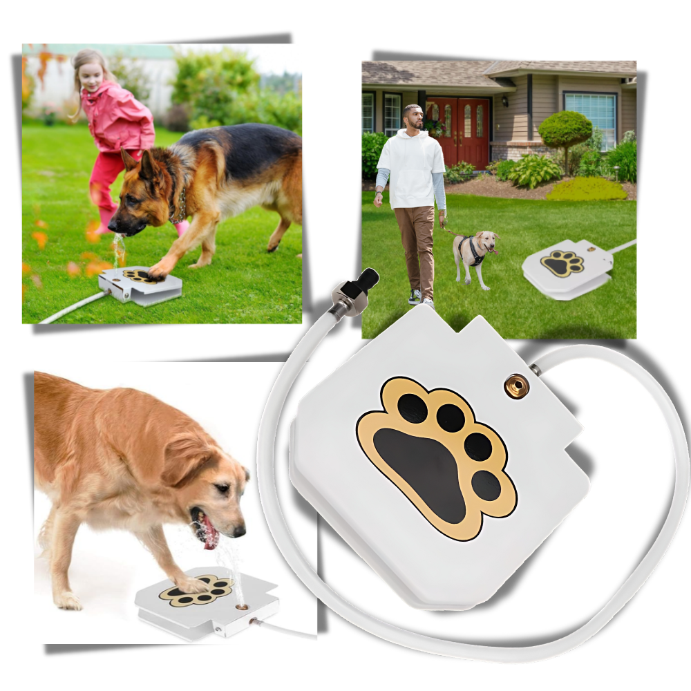 Poteaktivert vannfontene for hunder
- Ozerty