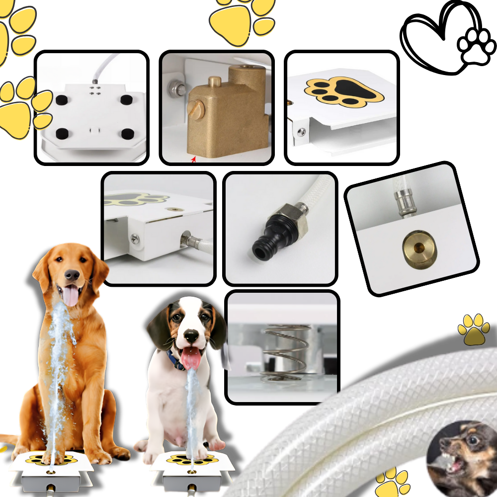 Poteaktivert vannfontene for hunder
- Ozerty