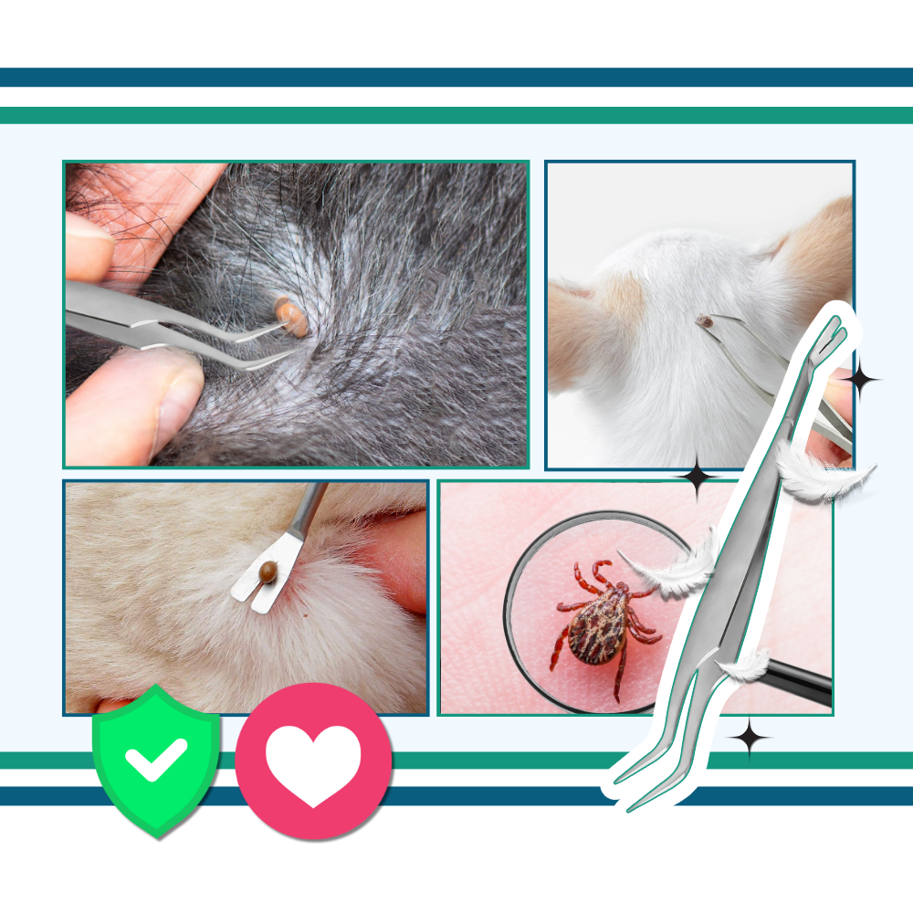 Flåttklype med Presisjon - Ozerty