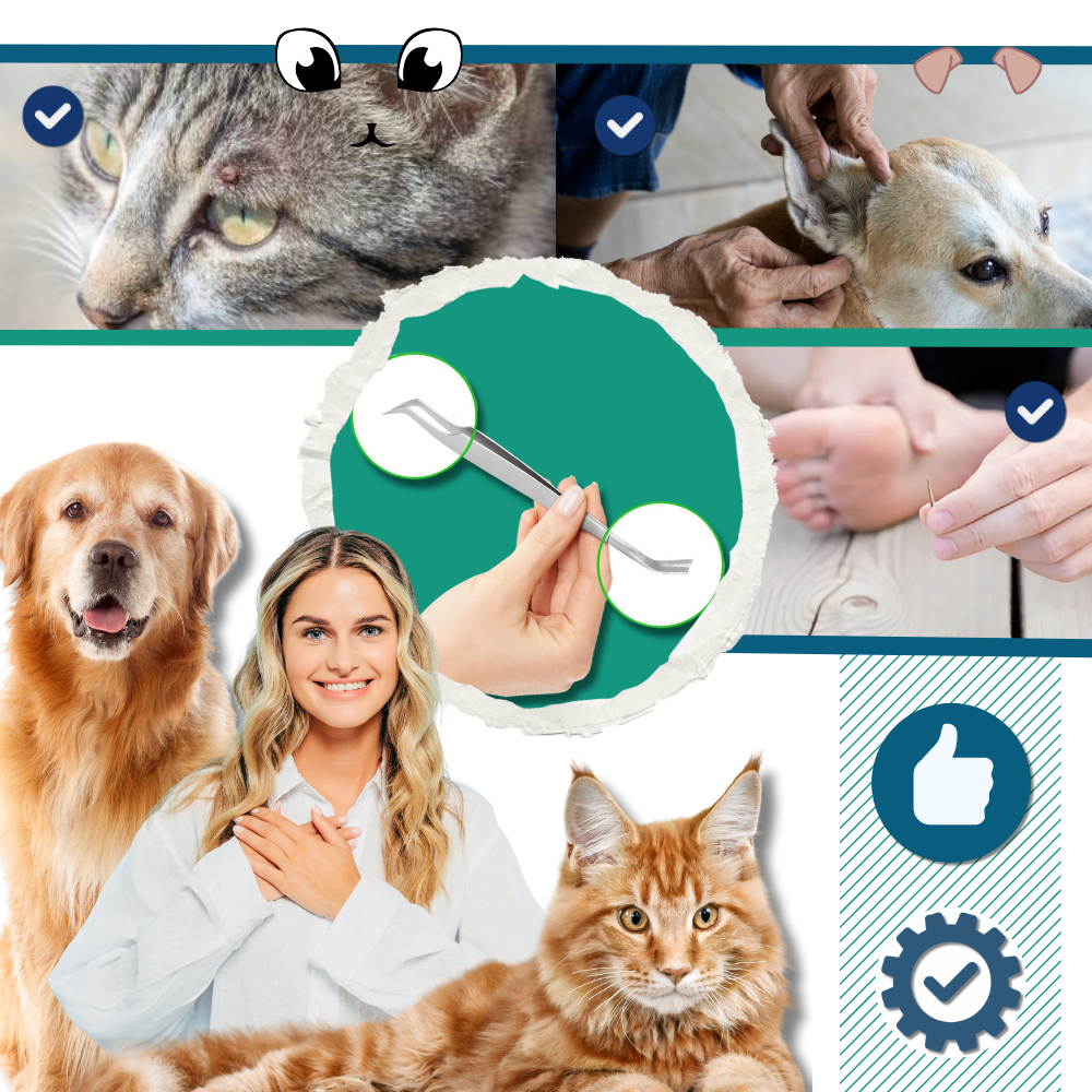 Flåttklype med Presisjon - Ozerty