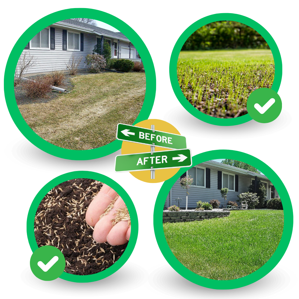 Quick Fix grønn gressmatte
- Ozerty