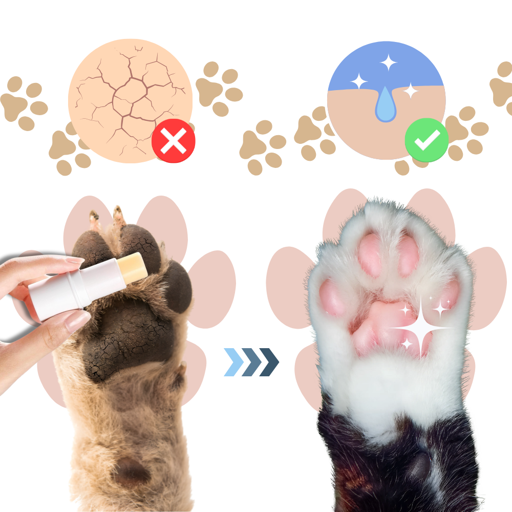 Rask Lindring-Balsam for Kjæledyrpoter - Ozerty