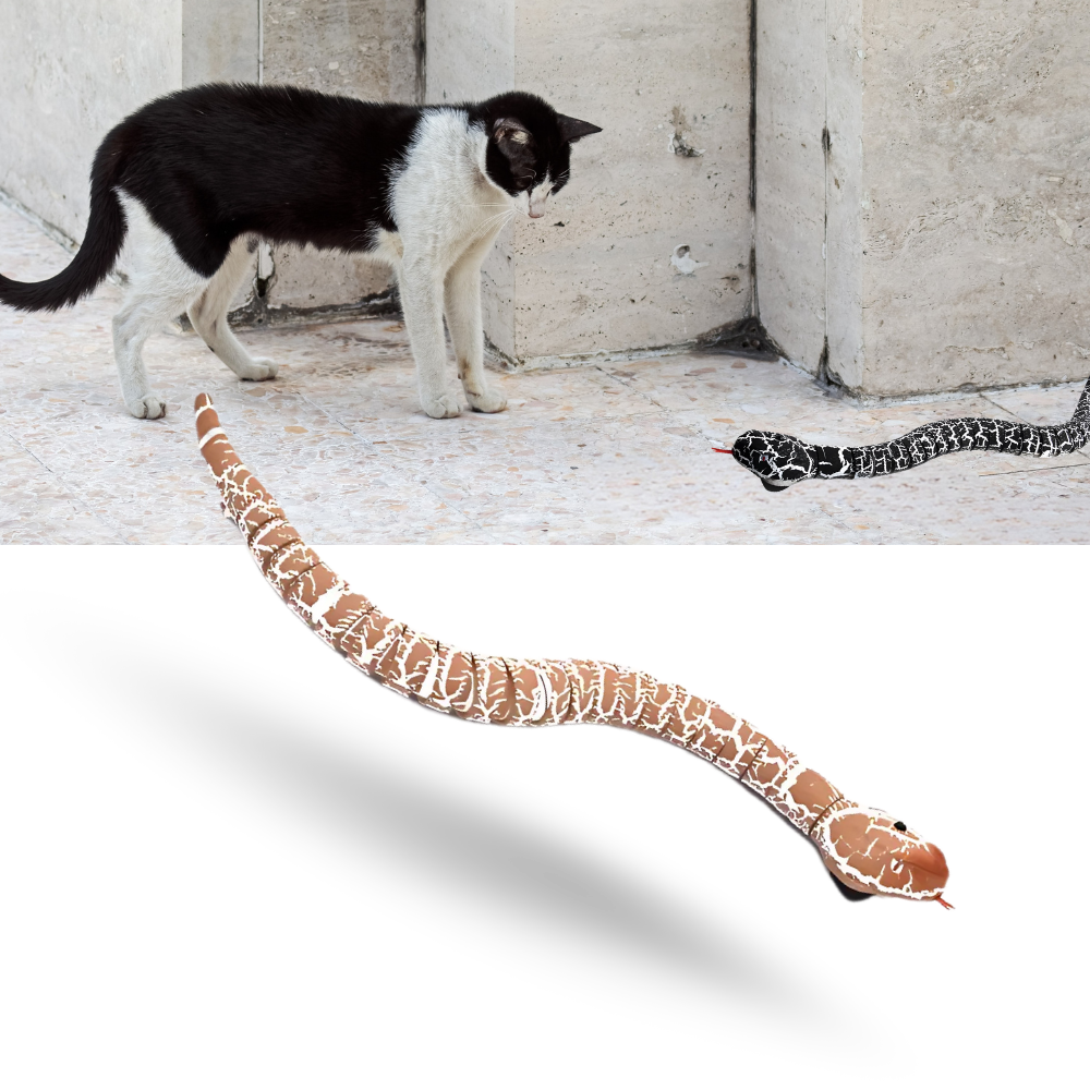 Fjernstyrt interaktiv slangeleke for katt - Ozerty