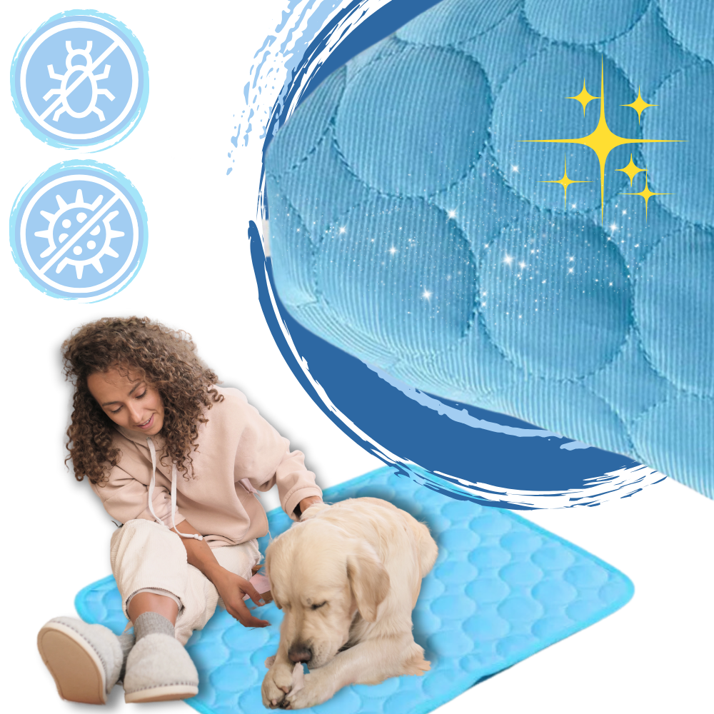 Silke kjæledyr kjølepute
- Ozerty