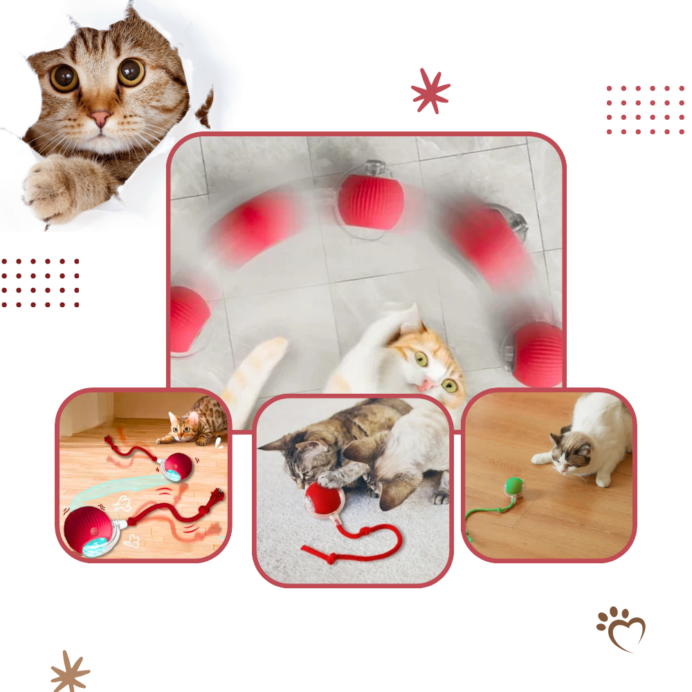 Smart, Interaktiv Katteball-Leke - Ozerty