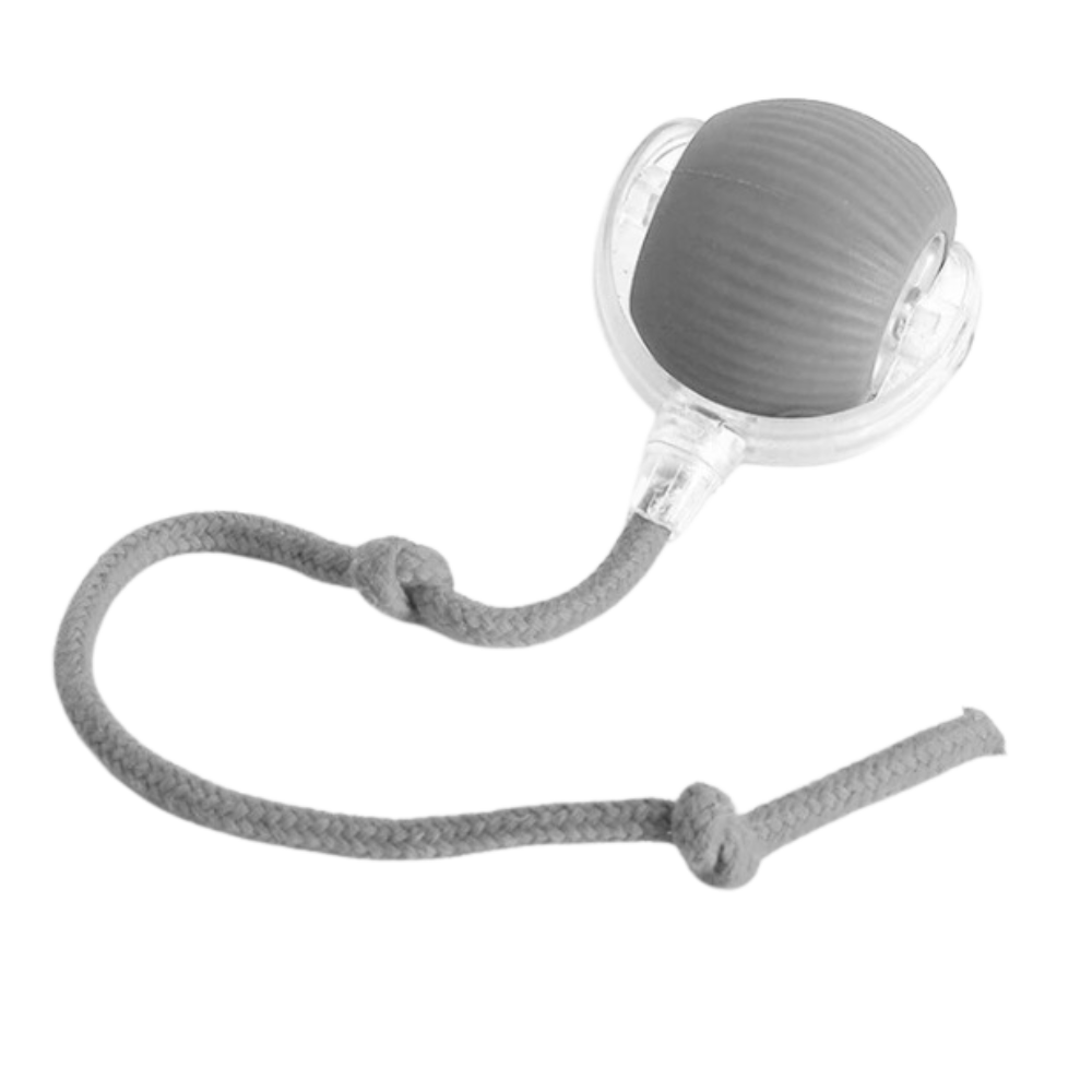 Smart, Interaktiv Katteball-Leke -Grå - Ozerty