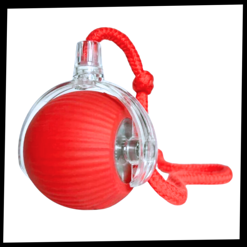 Smart, Interaktiv Katteball-Leke - Ozerty