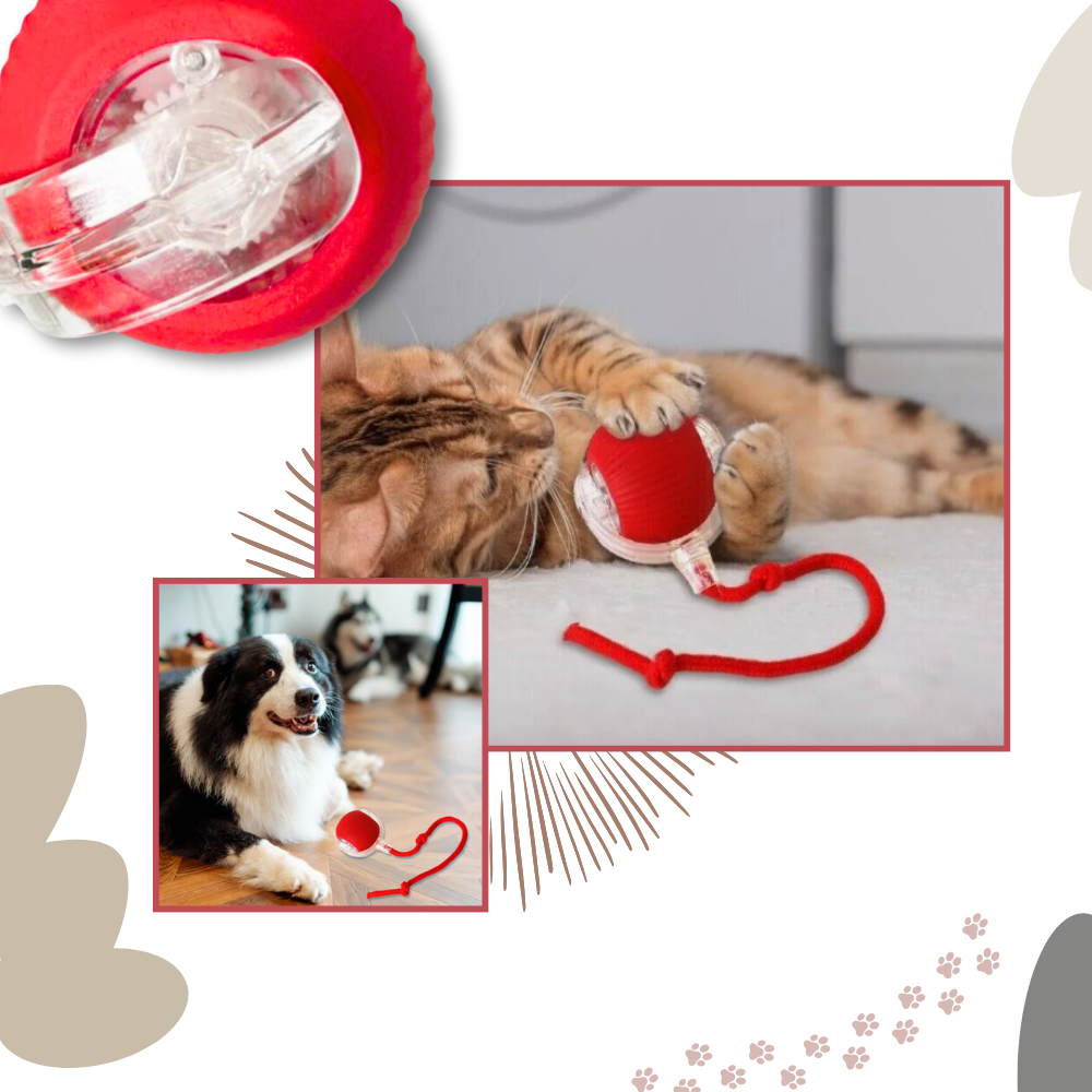 Smart, Interaktiv Katteball-Leke - Ozerty