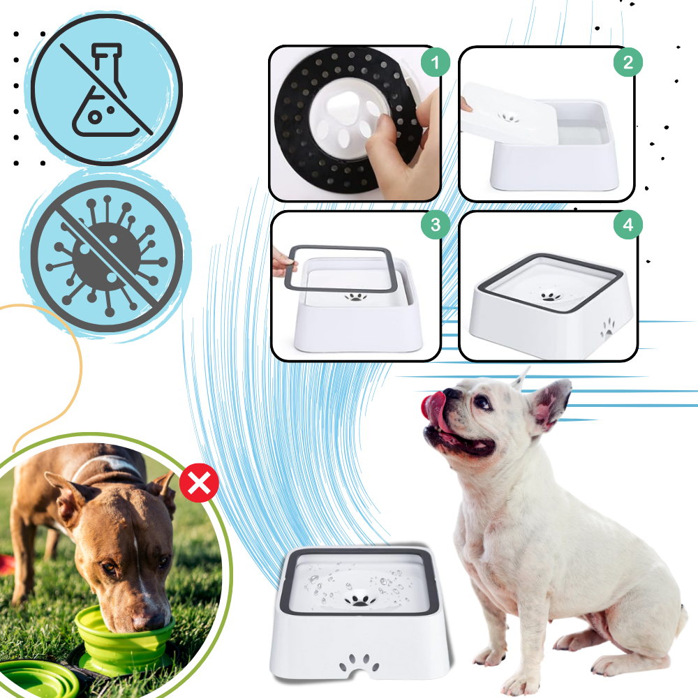 Sprutefri Vannskål For Hunder - Ozerty