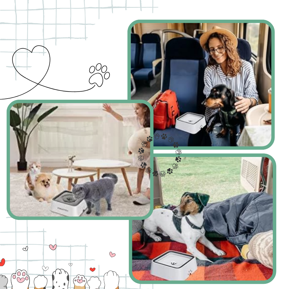 Sprutefri Vannskål For Hunder - Ozerty