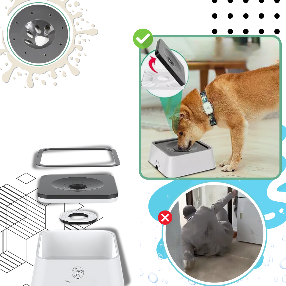 Sprutefri Vannskål For Hunder - Ozerty