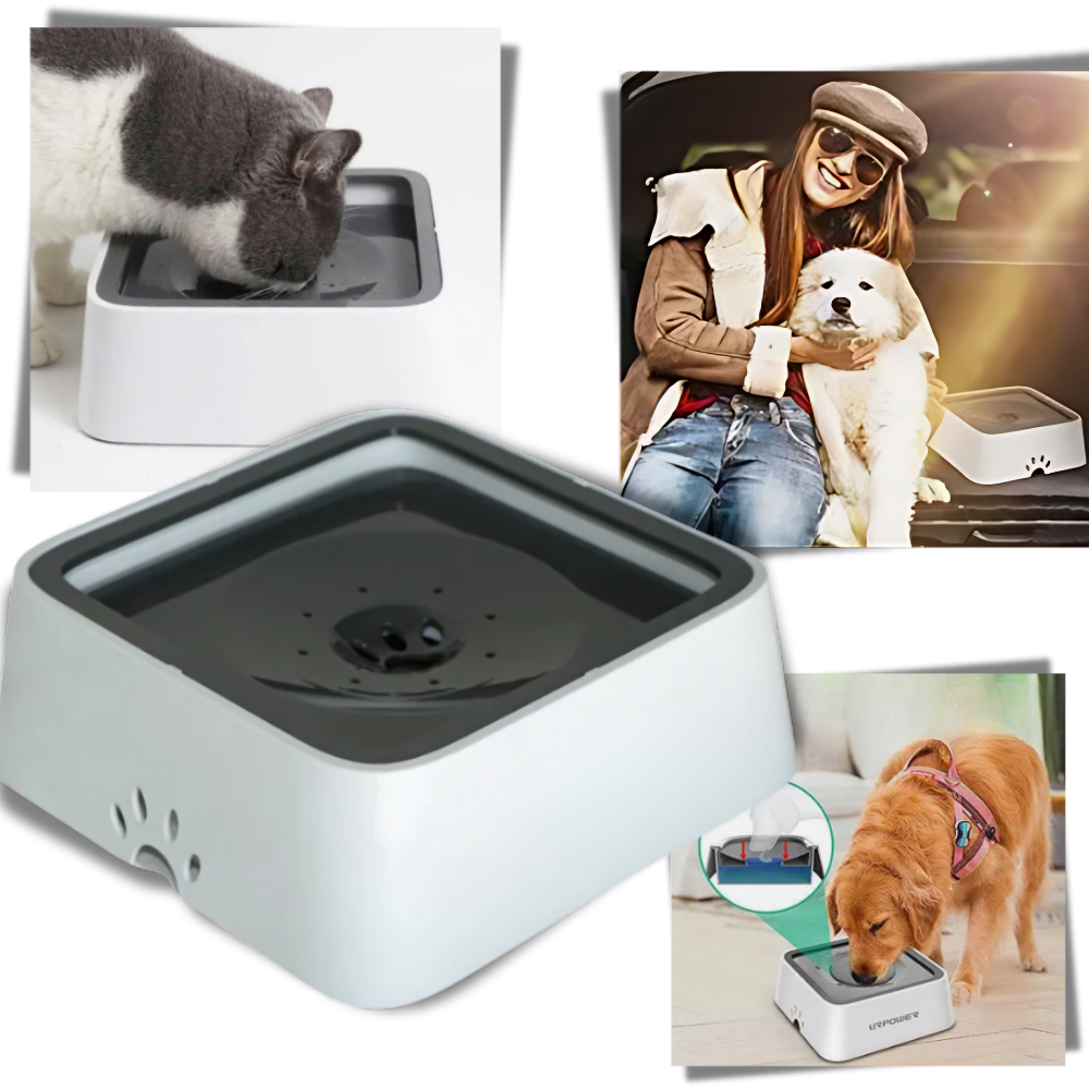 Sprutefri Vannskål For Hunder - Ozerty