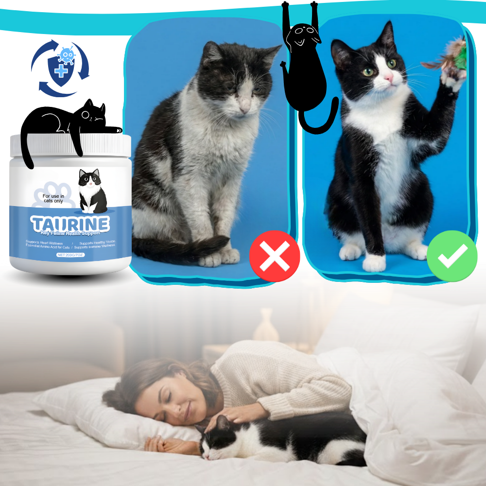 Taurin Kosttilskudd For Katter - Ozerty