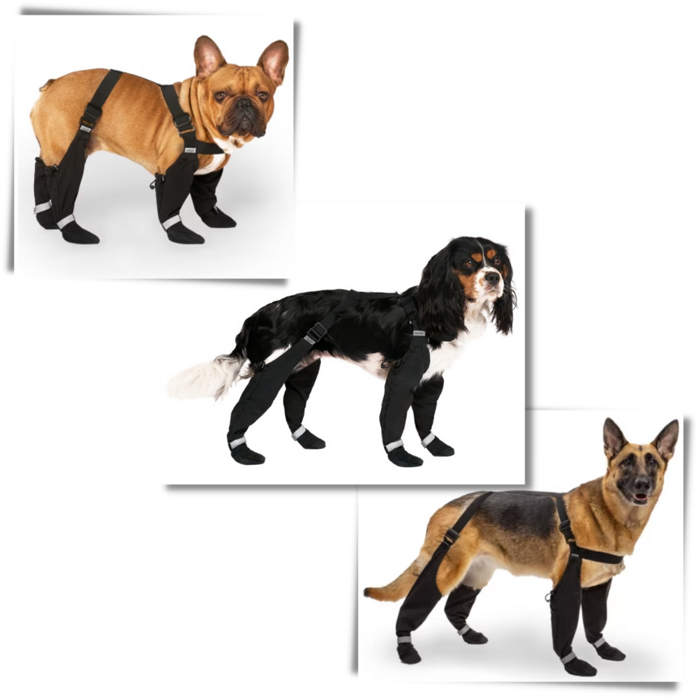 Vanntette hundestøvler med bukseseler
- Ozerty