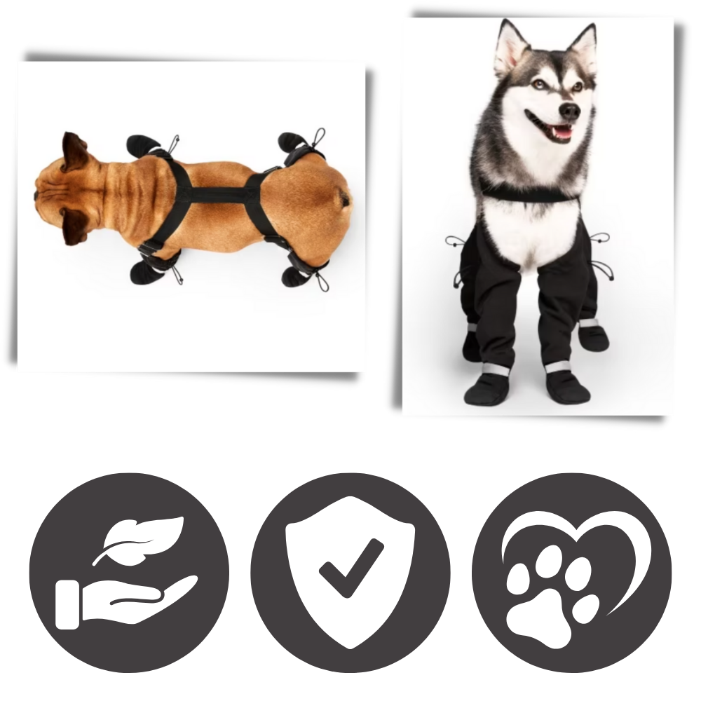 Vanntette hundestøvler med bukseseler
- Ozerty