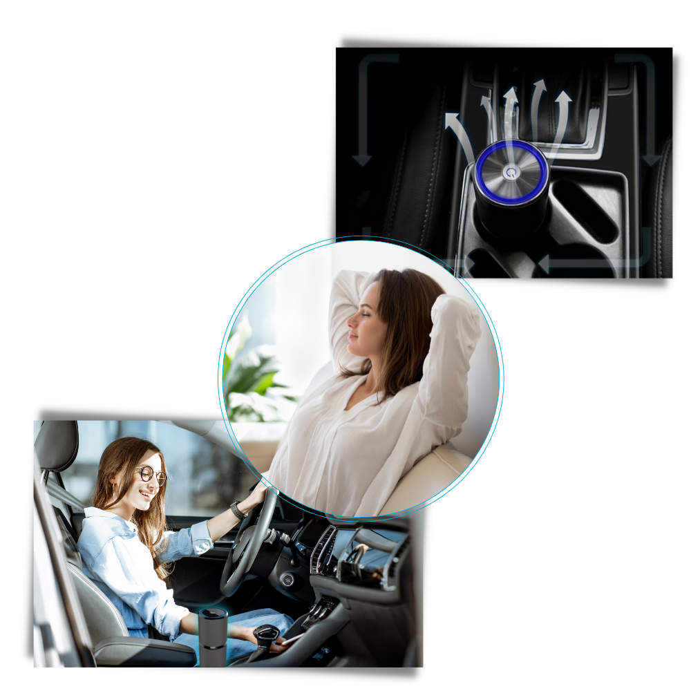 Ionisk luftrenser - Ozerty