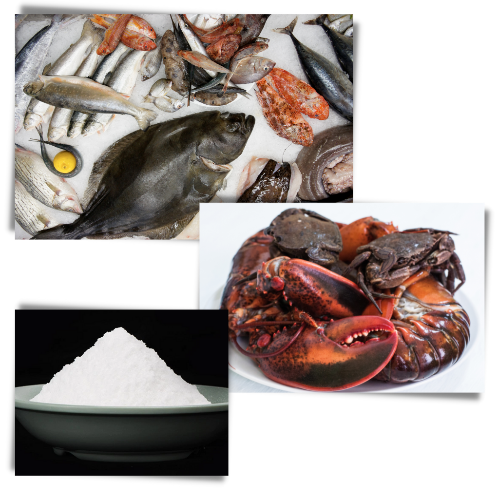 Attraktiv fiskesluk  - Ozerty