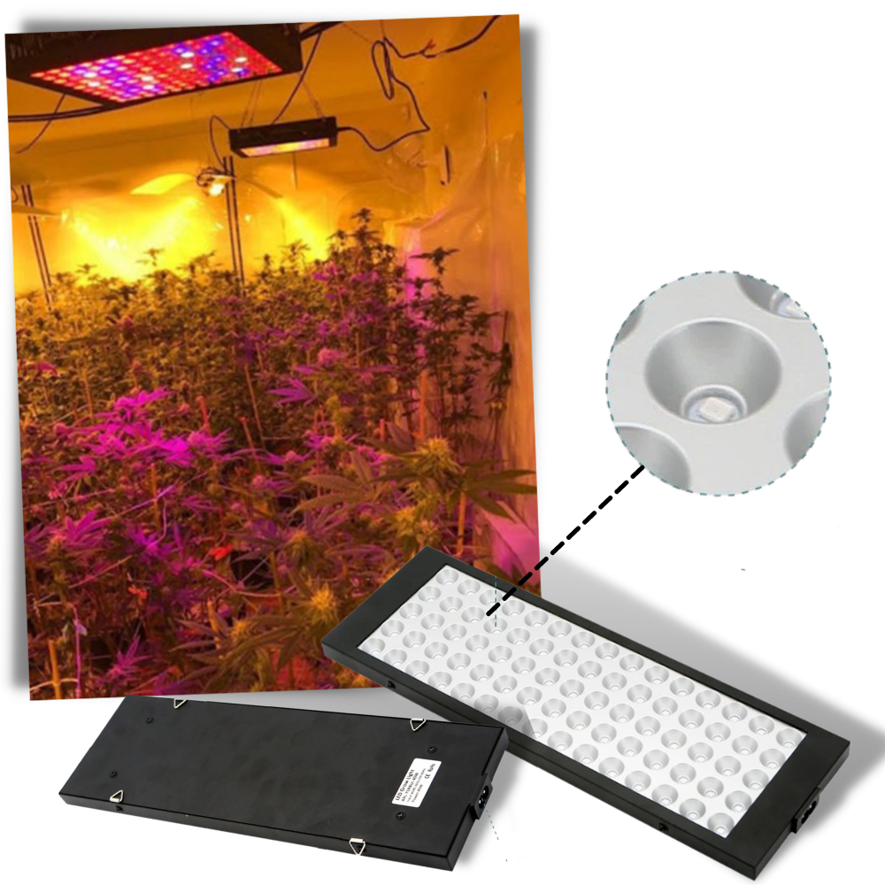 Hanging LED grow light with full spectrum