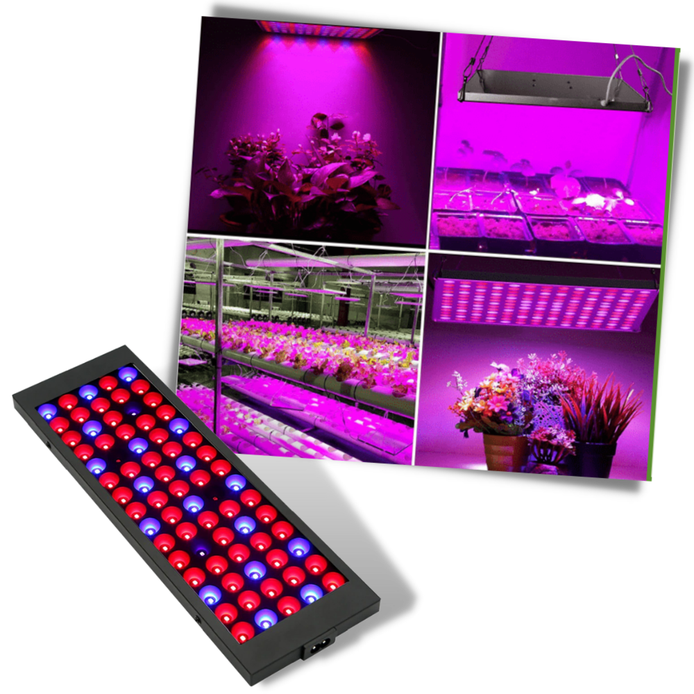 Hanging LED grow light with full spectrum