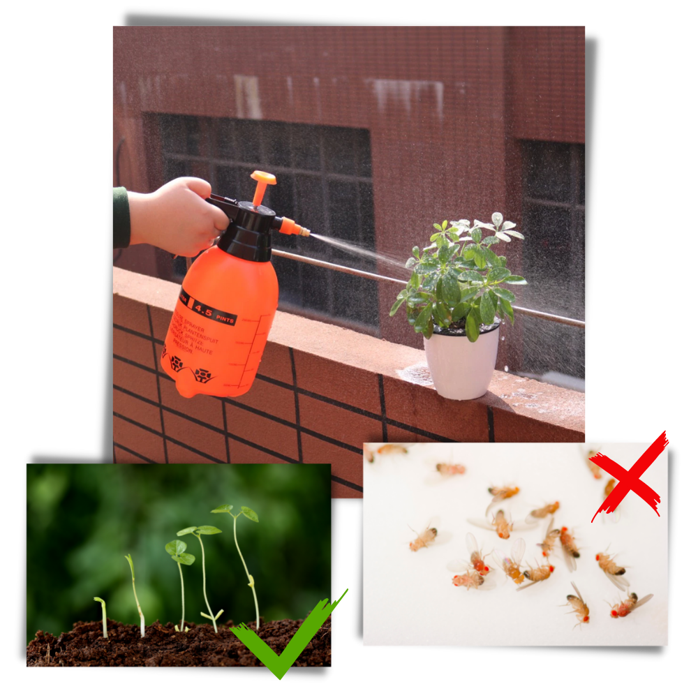 Pumpe hagesprøyte - Ozerty