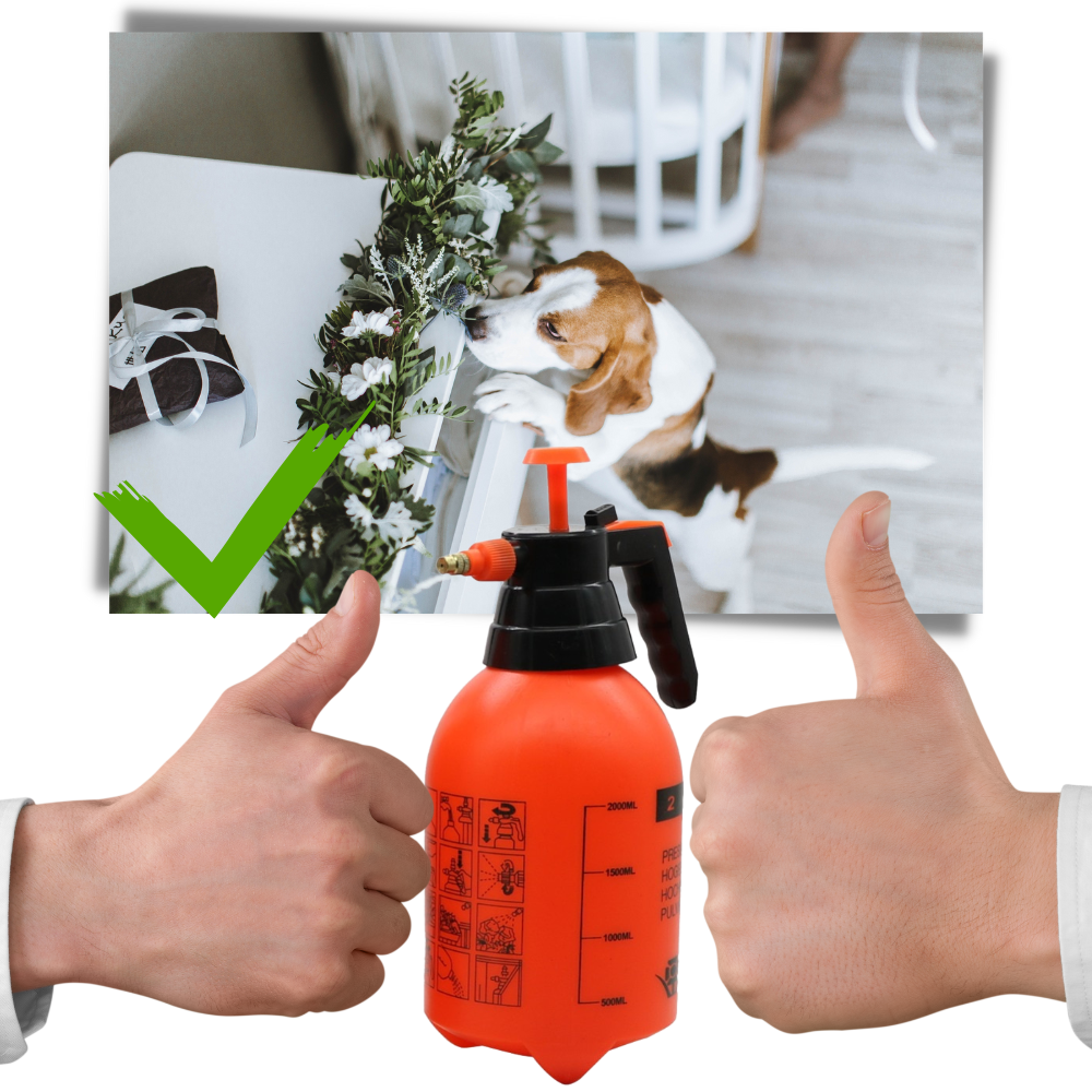 Pumpe hagesprøyte - Ozerty