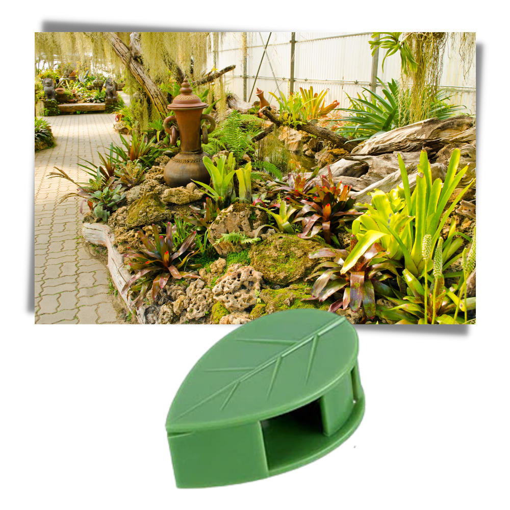 Pakke med 20 bladformede selvklebende klips for klatreplanter - Ozerty