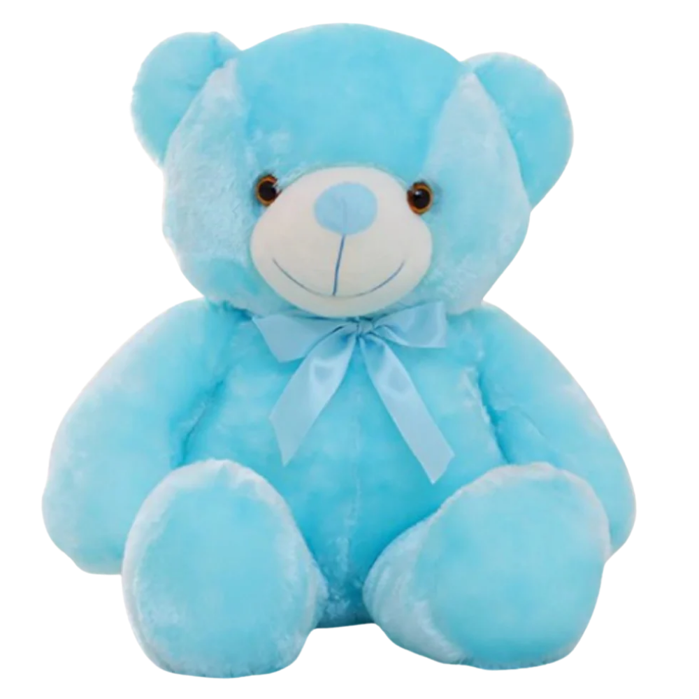 Plush teddy bear night light