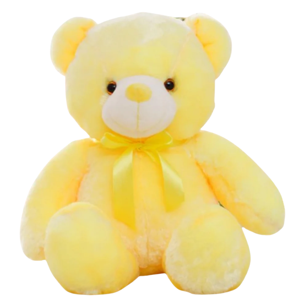 Plush teddy bear night light