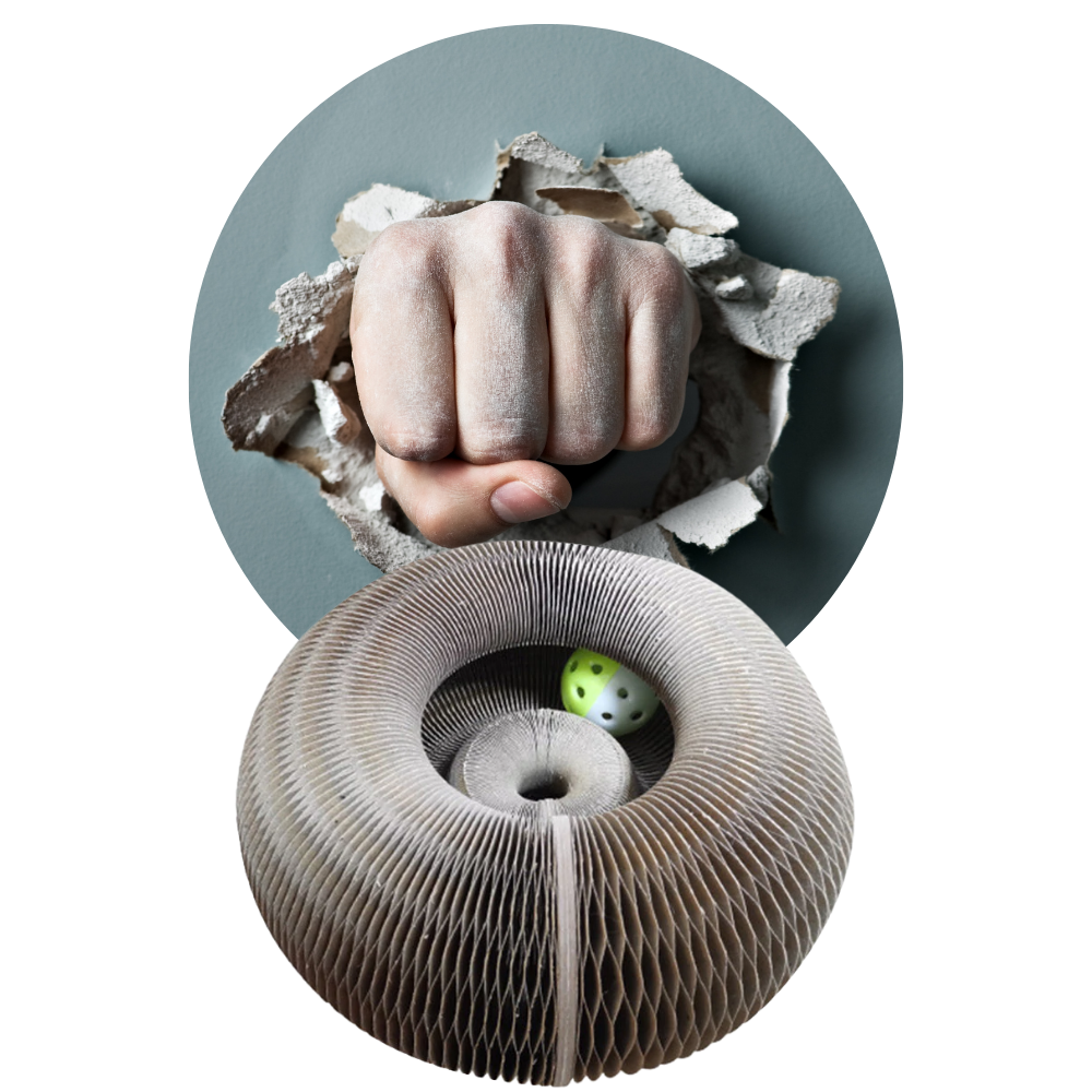 Klorebrett til katt - Ozerty