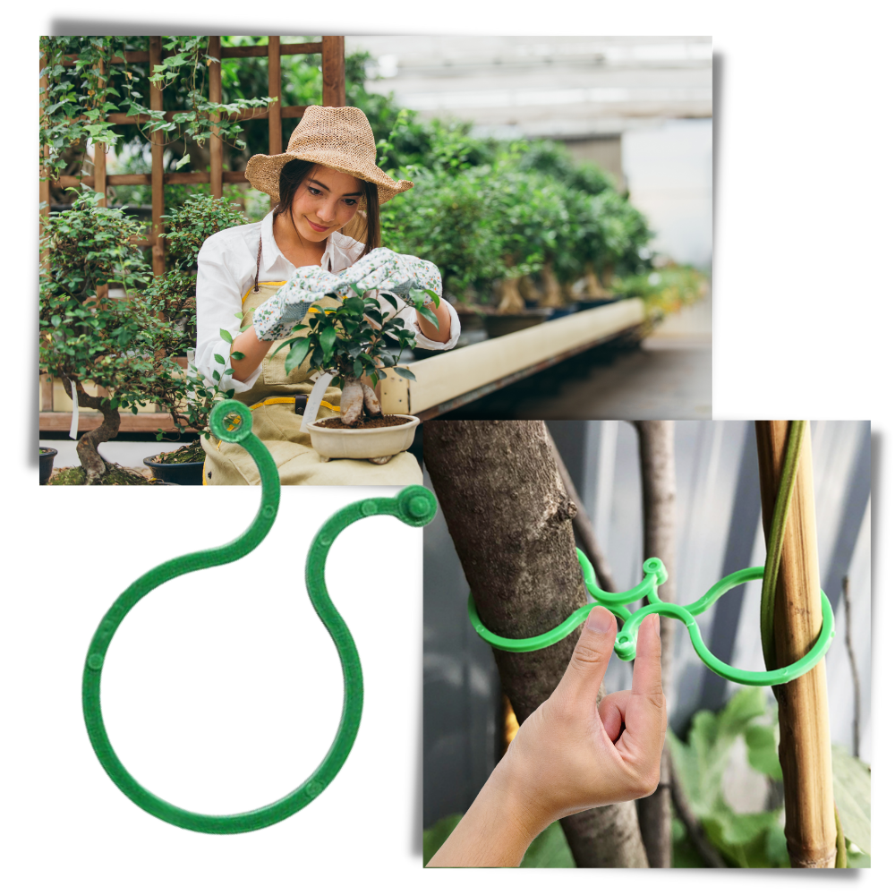 Pakke med klips til hageplanter - Ozerty