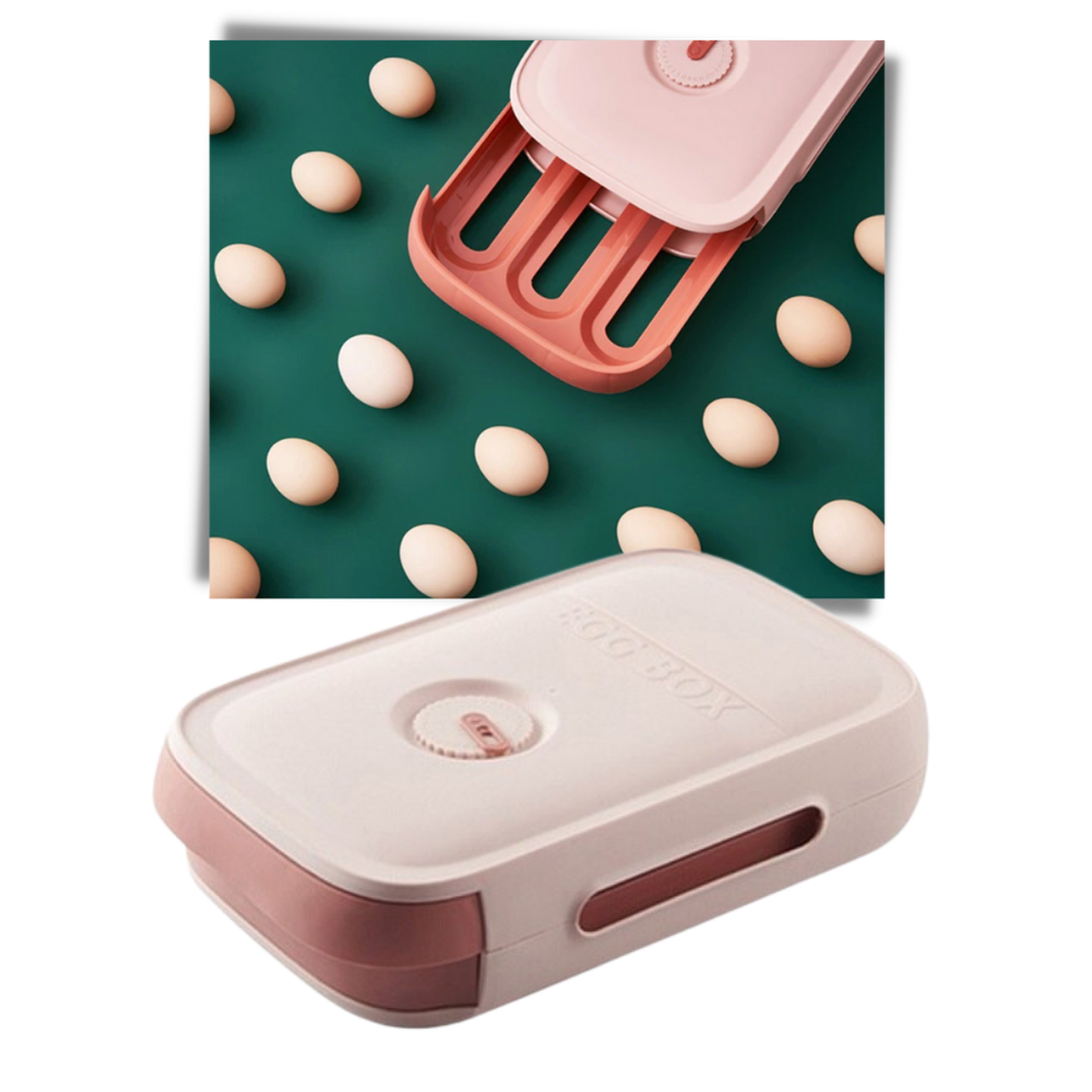 Oppbevaringsboks til egg - Ozerty